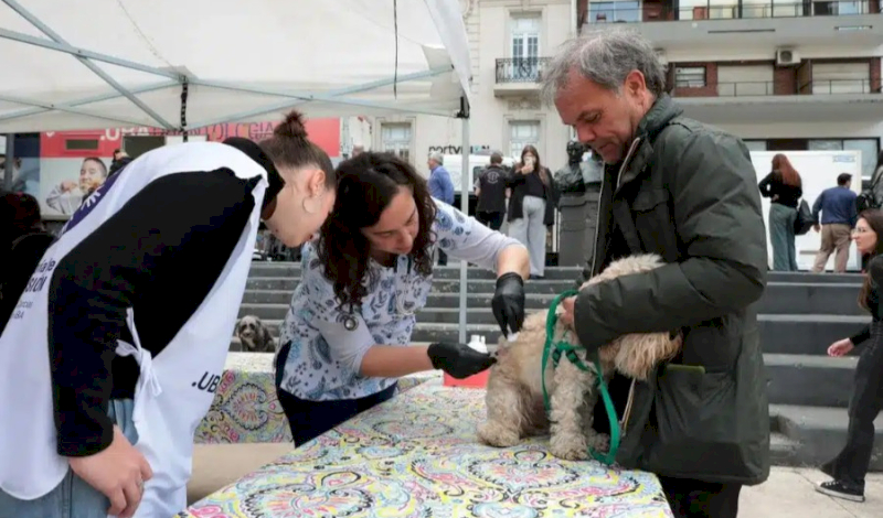 La UBA inauguró un quirófano veterinario móvil